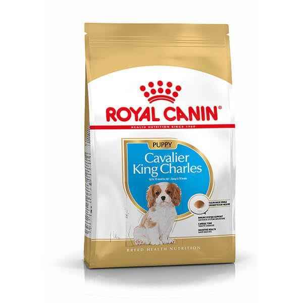 Royal Canin Cavalier King Charles Yavru köpek Maması 1,5 kg