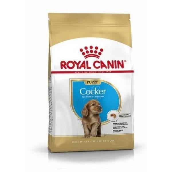 Royal Canin Cocker Junior Yavru Köpek Maması 3 kg