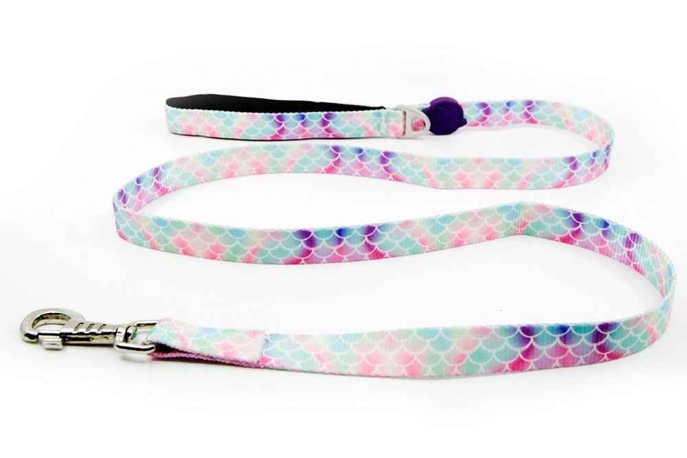 Tailpetz Bubbles Leash Köpek Gezdirme Tasması Medium