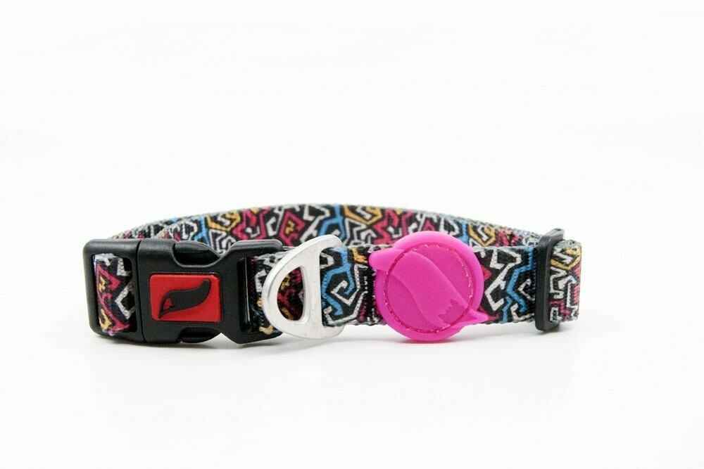 Tailpetz Graffiti Boyun Tasması (Medium)