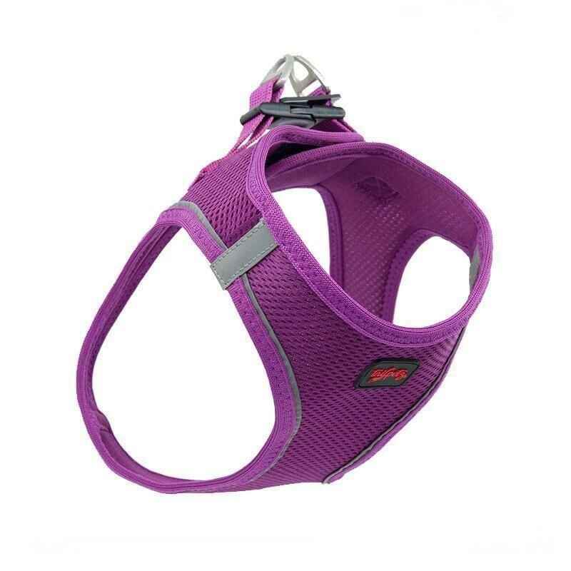 Tailpetz Air Mesh Harness Göğüs Tasması Mor Large