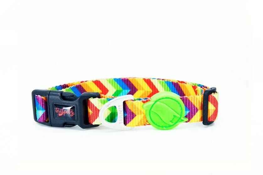 Tailpetz Rainbow Boyun Tasması XS